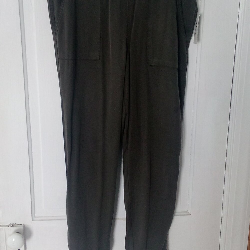 Style & Co Dark Green Joggers New Size 14